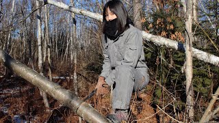 平日ルーティン：日々の暮らし