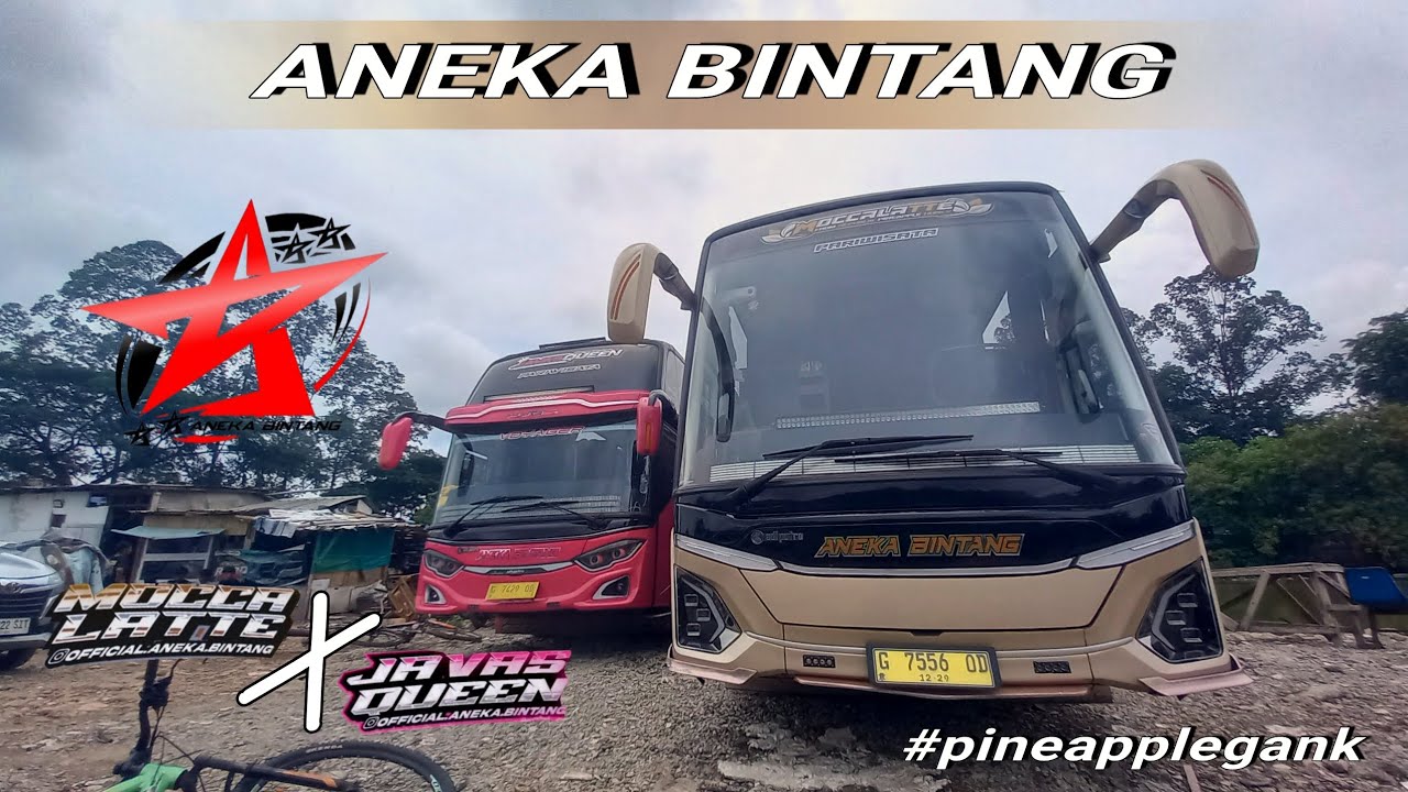 [BUS SELEBNYA PEMALANG] Review Luar Dalam Aneka Bintang Java's Queen & Moccalatte