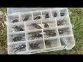 家の周りに生えている意外な木でミヤマクワガタが大フィーバー！【2025年カブトムシ・クワガタ採集】