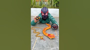 Two Remote control Snake 🐍 unboxing & testing