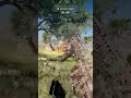 I love this #gameplay #battleroyale #redsec #clips #subscribers #twitch#tiktokviral #money #currency