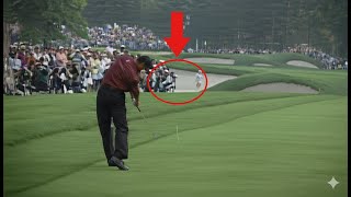 Shots Showing Why Tiger’s The Greatest To Ever Do It Wealth