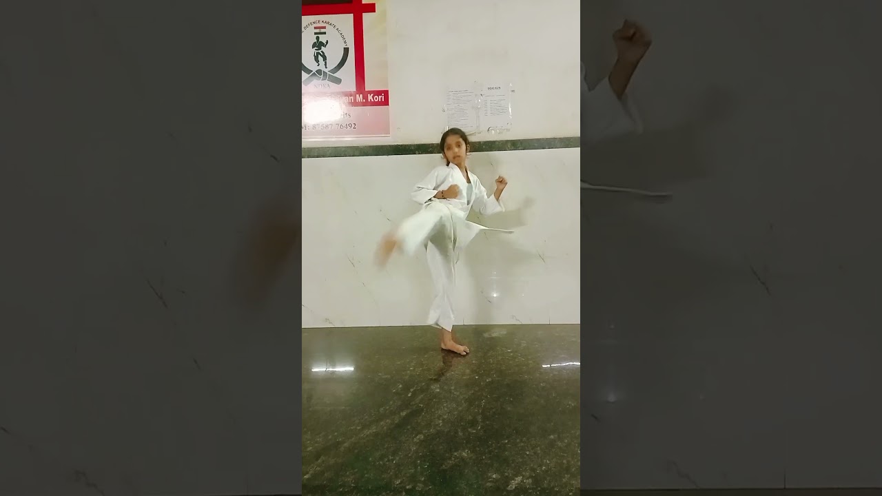 KARATE BASIC BY KID|THE AMAZING KARATE TRAINING| JAPANESE KARATE PUNCH