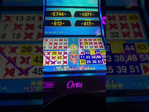 2025 Hollywood Casino - Final Order "Sweet Emotion"