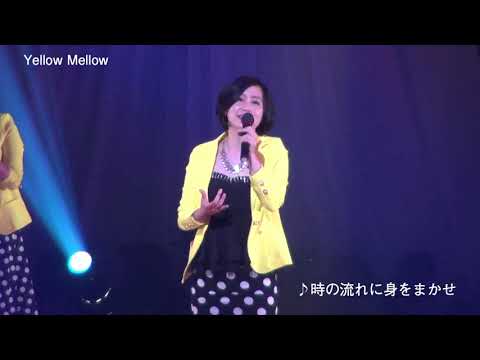 アカペラグループ Yellow Mellow ライブ