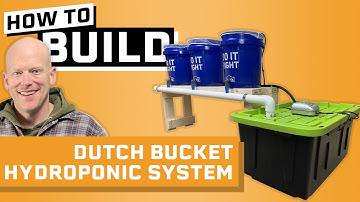 How to Build a Dutch Bucket Hydroponic System - Dutch Bucket Hydroponics