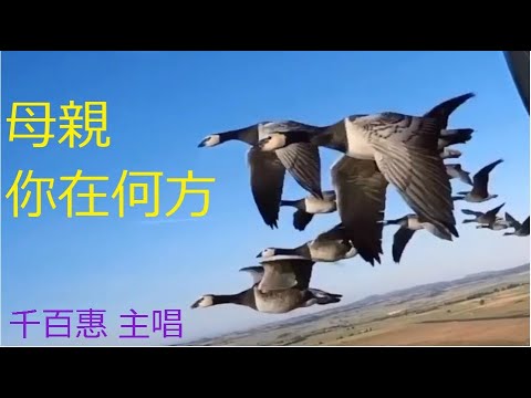 母親你在何方   千百惠唱