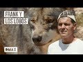 Frank camina con Lobos | Wild Frank