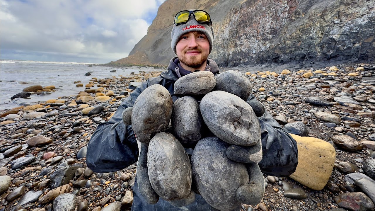 INSANE Fossil Haul After Coastal Storm! Ammonites EVERYWHERE!