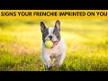 5 Signs Your French Bulldog Considers You Its Mother