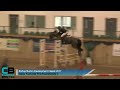 Bishop Burton Development Classic | Friday 3rd March | Equitop Myoplast Foxhunter/Grade C