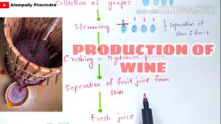 Preperation of wine by fermentation in industries | Production of wine | Grape wine | Bio science