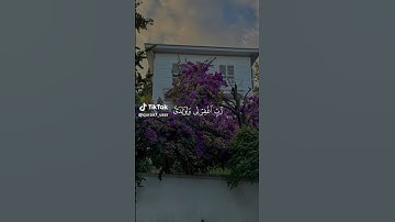 استمع القرآن الكريم #comedianmahmoudagamey #محمودعجمي #قران_كريم #قرآن #جمعة_مباركة