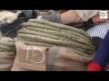 Le manioc sous toutes ses coutures (Documentaire)