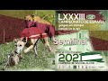 Los mejores momentos de las Semifinales " LXXXIII CTO DE ESPAÑA DE GALGOS EN CAMPO"