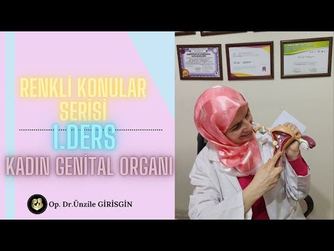 RENKLİ KONULAR SERİSİ 1.DERS - KADIN GENİTAL ORGANI