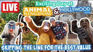 🔴Live: Wild Morning at Animal Kingdom & Hollywood Studios! - Rides & Fun - Disney World Livestream