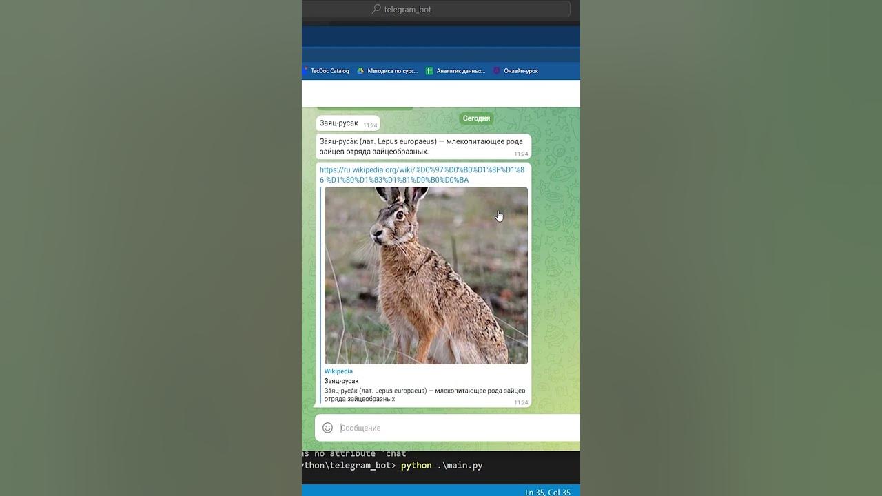 Requests telegram python. Приветствие бота в телеграм python. ссылка в кнопке telegram python.