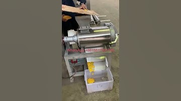 fruit puree vegetable pulp making machine Mango juice extracting extractor machine