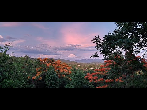 แสดงธรรมวันวิสาขบูชา-พระพุทธเจ