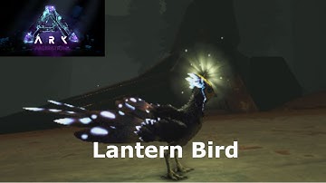 Ark Aberration New Creature Showcasing The Lantern Bird and Spawn Codes AKA Featherlight