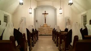 November 20: Day 45 - Rosary for Life and Peace