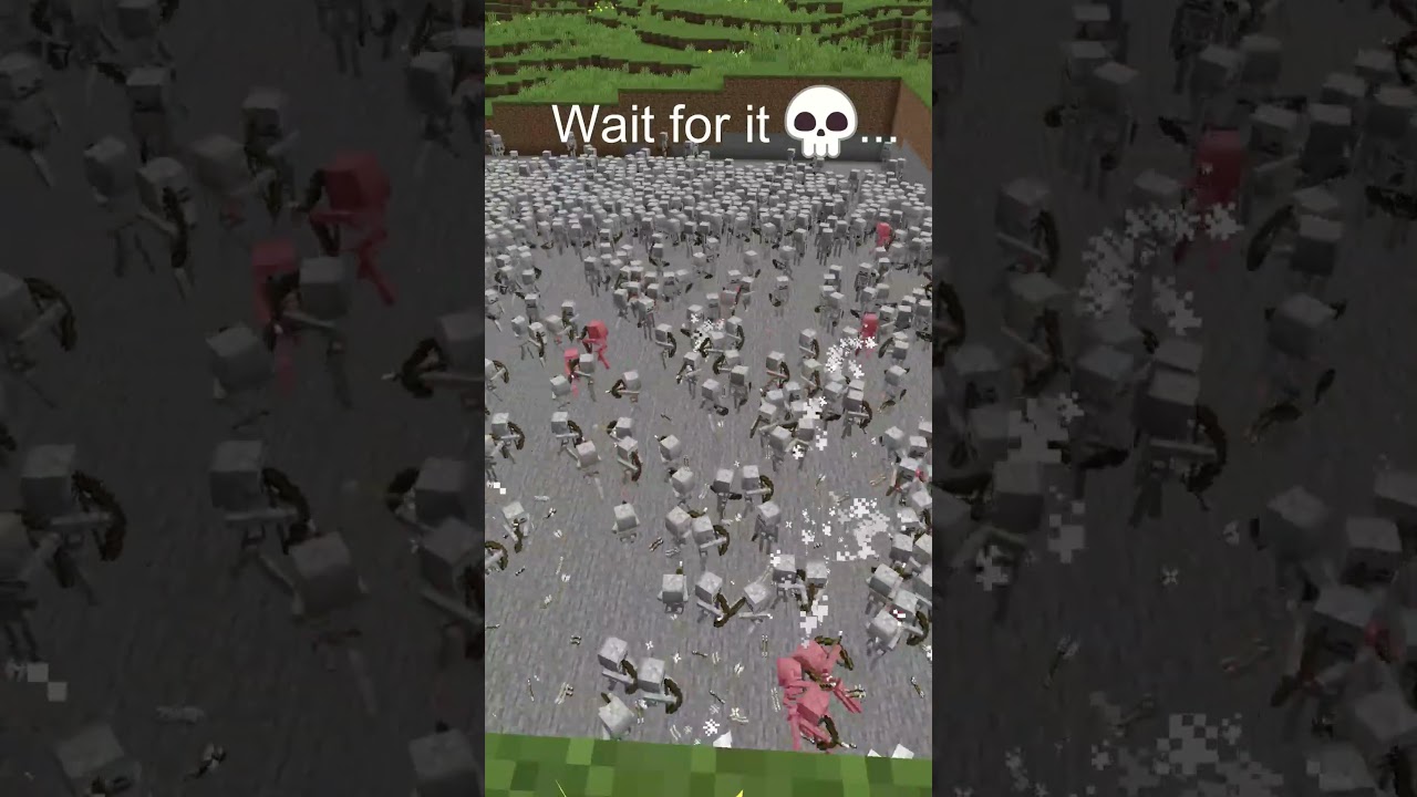 Epic MINECRAFT SKELETON END MOMENT 