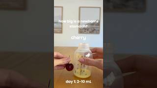 Newborn Stomach Size Each Day