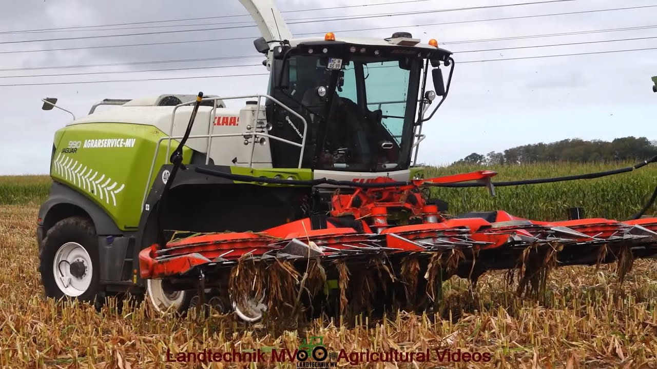 Claas - Fendt - MB - Cat / Maissilage - Silaging Maize