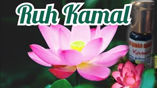 Ruh Kamal || Oil of Pink Lotus