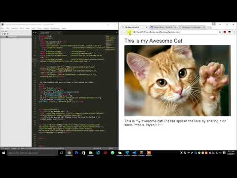 Add Facebook Share Button in your Website!