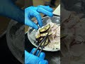 豚バラのピリ辛冷やしうどん