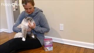 Does Feliway Work? Comfort Zone Feliway Cat Plugin Diffuser Review