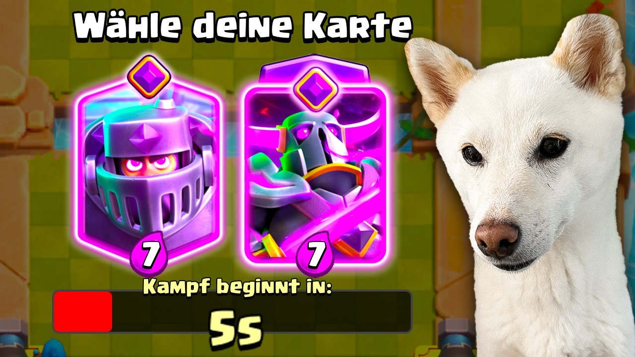 Mein HUND wählt meine KARTEN! 😂