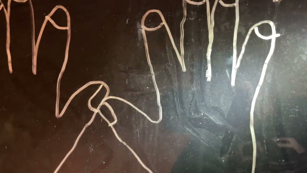 Latent Bigfoot Sasquatch handprints collected w/ DNA
