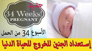 الأسبوع 34 من الحمل // بداية استعداد الجنين للخروج إلى الدنيا HD