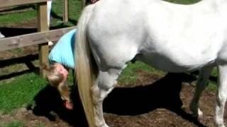 SANY0022.MP4
