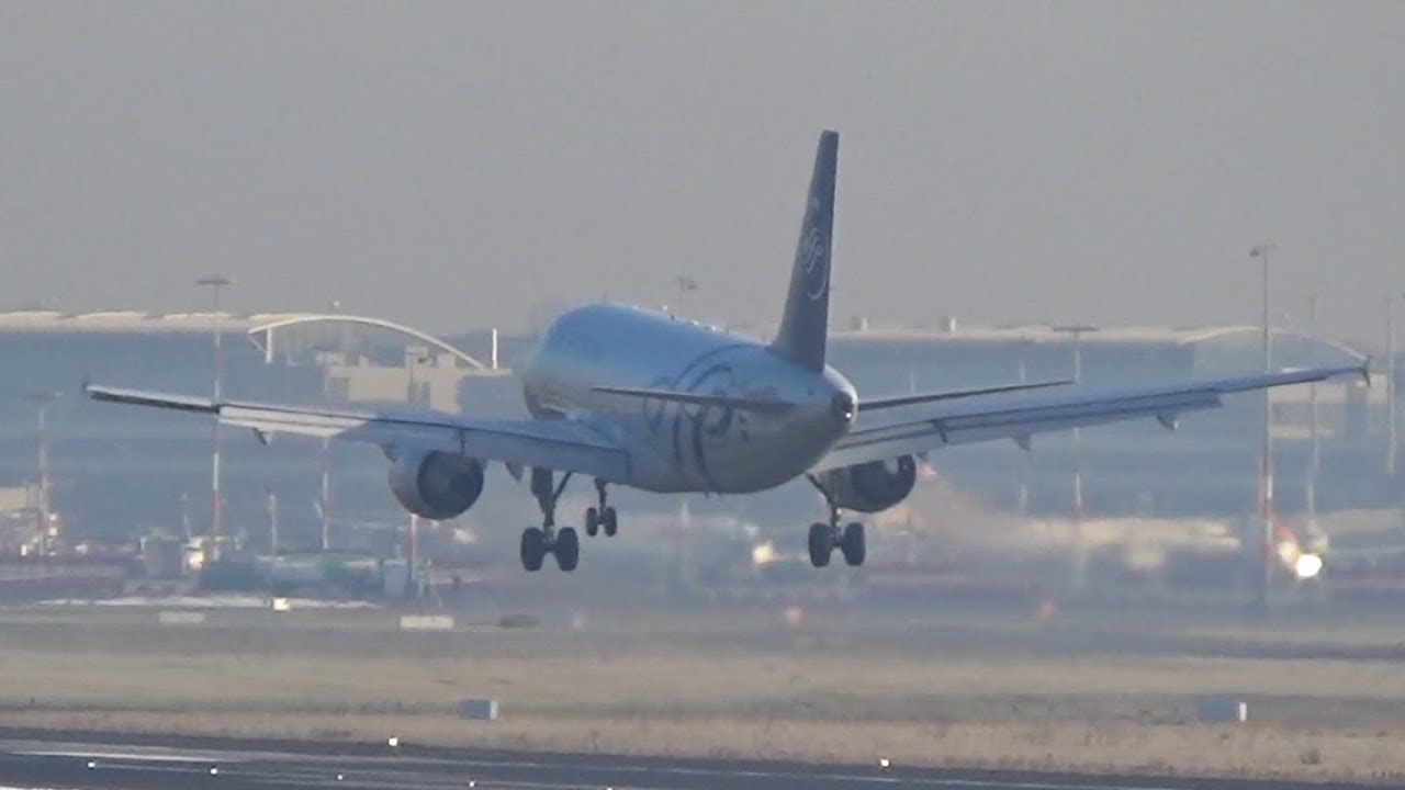 Three special liveries on the A319 | Hamburg Airport