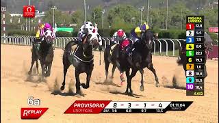Vidéo de la course PMU PREMIO PANZER