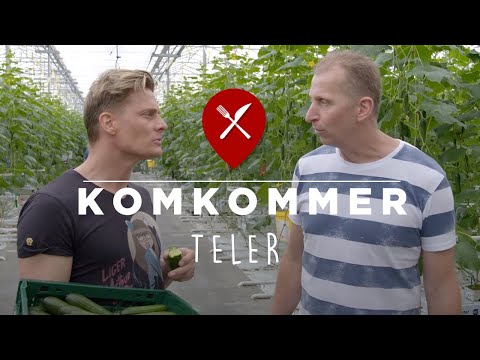 Video: Groei Vroeë Komkommers