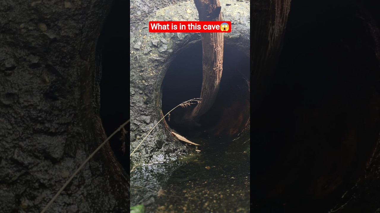 😱what is in this cave?