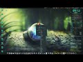 Su Plank, la dock-bar di di Xfce non si possono collegare specifiche cartelle? Chi l'ha detto!!???