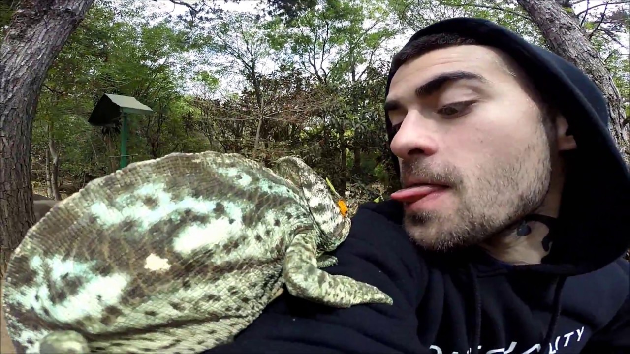 Przygody Wesołego Hypemana vol. 18 (Madagaskar)