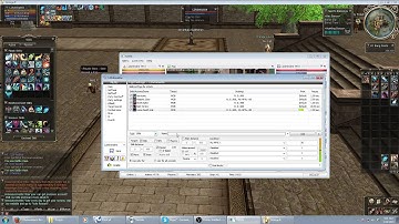 Lineage 2 Bot: Adrenaline - Showing off/Leveling - 9 / 12