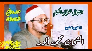 الشيخ الشحات محمد أنور وما تيسر من سورة القلم والمعارج