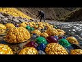 Treasure Hunting Success in the Riverbed