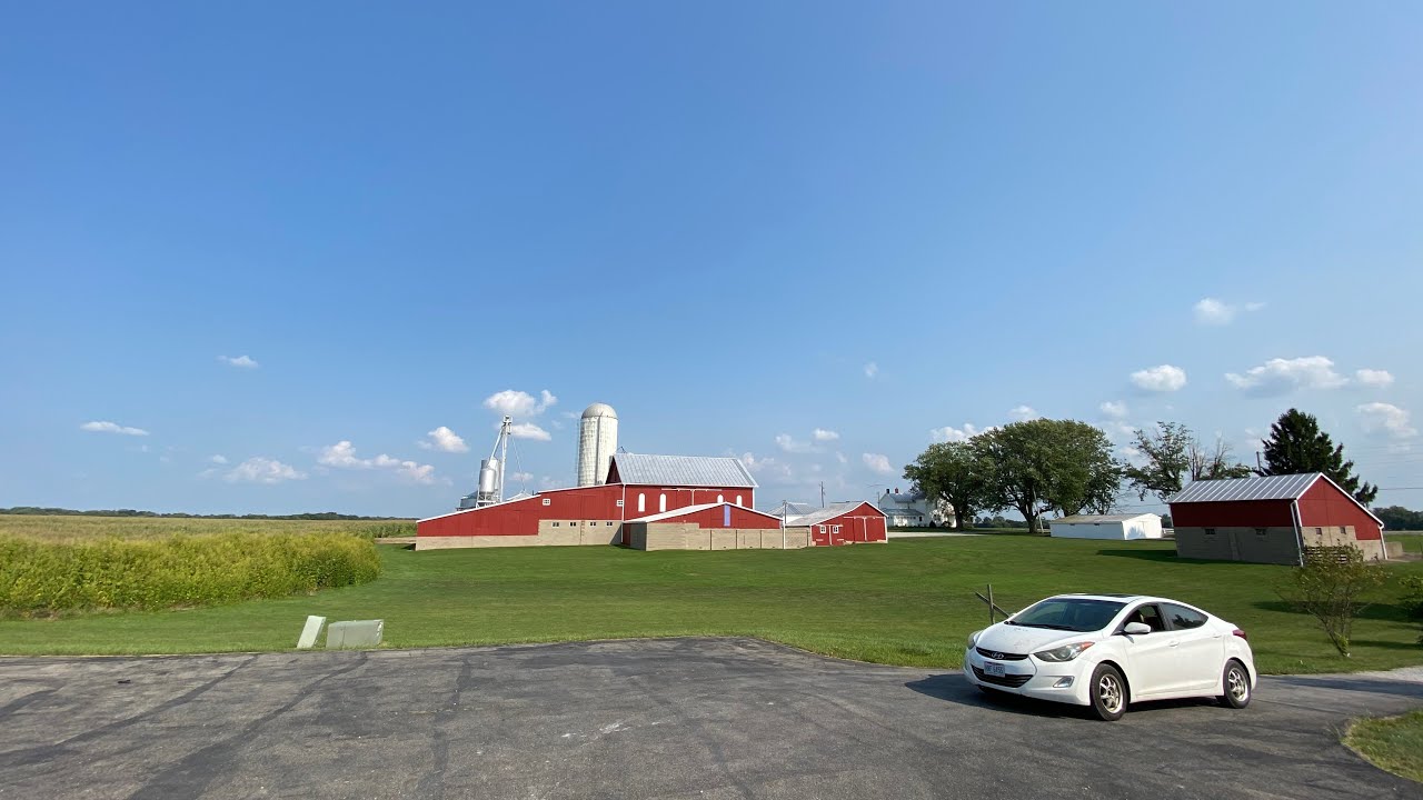 Shady driveway YouTube