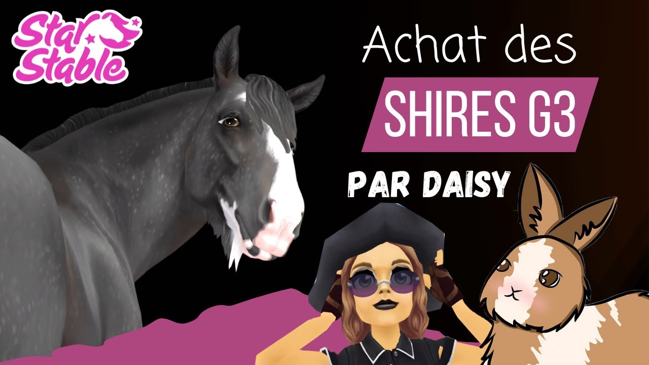Daisy choisi le SHIRE que je vais acheter - Star Stable Online