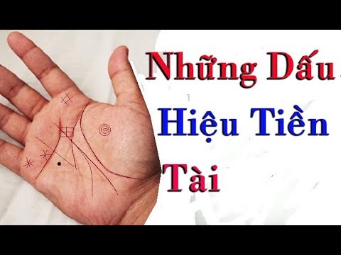Video 8 Dấu Hiệu Phú Quý Trong Lòng Bàn Tay - youtube