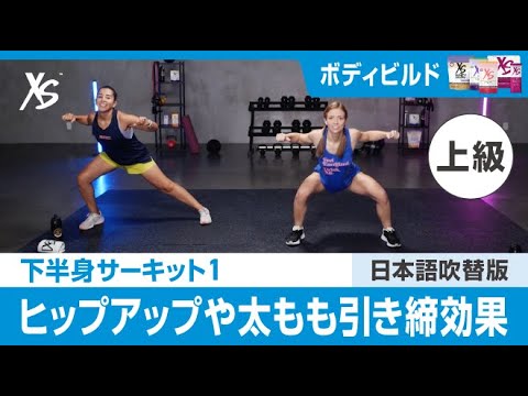 カタログ　THE FITNESS　ザ・フィットネス カタログ THE FITNESS ザ・フィットネス